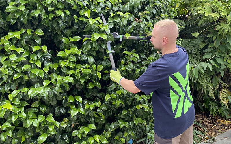 Selwyn Lawn Services | Lawn Mowing, Gardening, Weed-eating | Christchurch