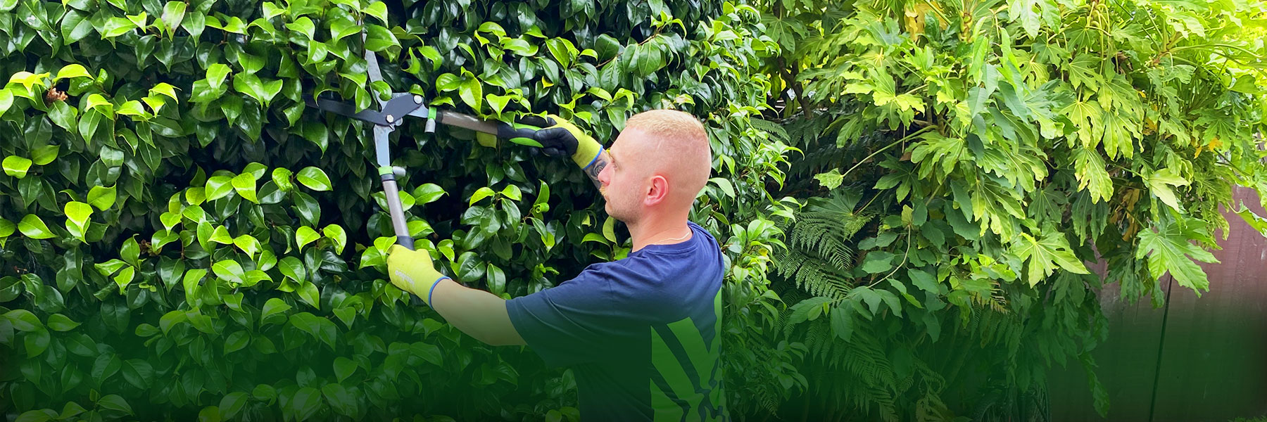 Selwyn Lawn Services Christchurch